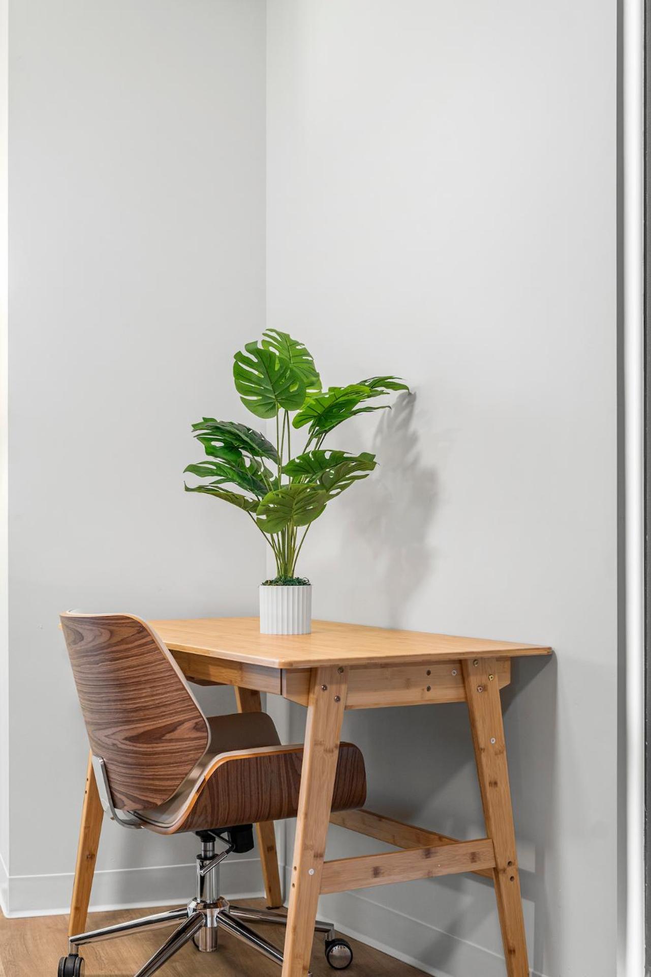Furnished Luxury Apartment Next To Harvard Stadium Boston Exterior foto